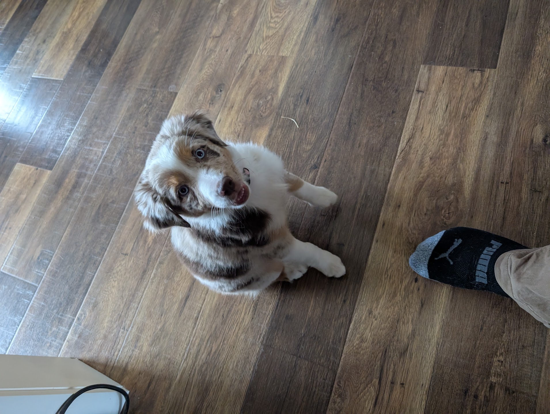 Darcy's first Easter